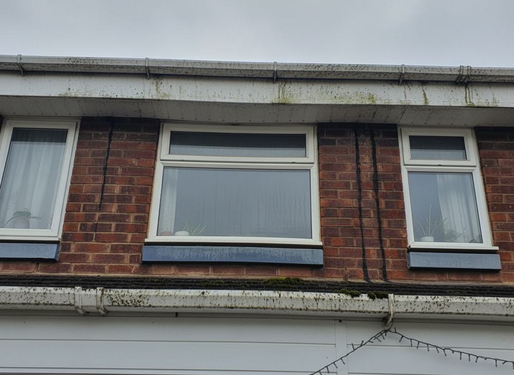 Roofline soffits and fascias stained with algae and grime, before the soft wash